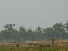 ラ・ルーナのブログ