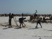 ラ・ルーナのブログ