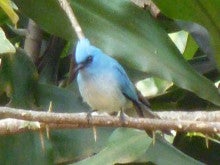 ラ・ルーナのブログ