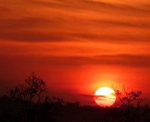 ラ・ルーナのブログ