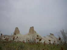 ラ・ルーナのブログ