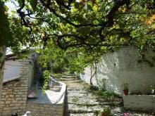 ラ・ルーナのブログ