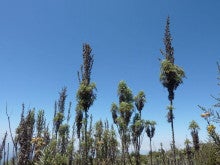 ラ・ルーナのブログ