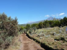 ラ・ルーナのブログ