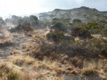 ラ・ルーナのブログ