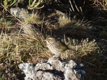 ラ・ルーナのブログ