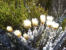 ラ・ルーナのブログ