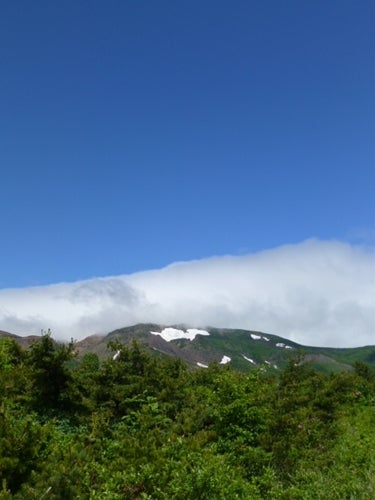 ランキング集 世界遺産/海外旅行/クラシック音楽/海外ドラマ/資格/美術/登山