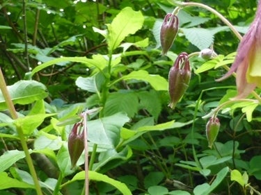 ランキング集 世界遺産/海外旅行/クラシック音楽/海外ドラマ/資格/美術/登山