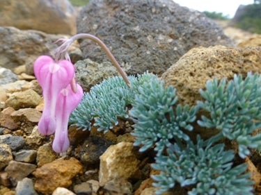 ランキング集 世界遺産/海外旅行/クラシック音楽/海外ドラマ/資格/美術/登山