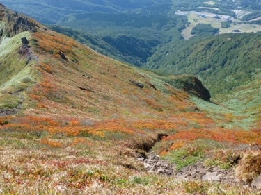ランキング集 世界遺産/海外旅行/クラシック音楽/海外ドラマ/資格/美術/登山