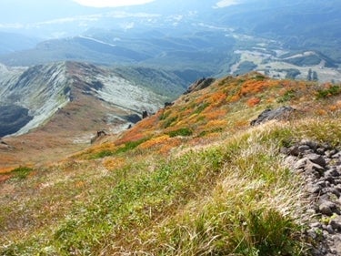 ランキング集 世界遺産/海外旅行/クラシック音楽/海外ドラマ
/資格/美術/登山