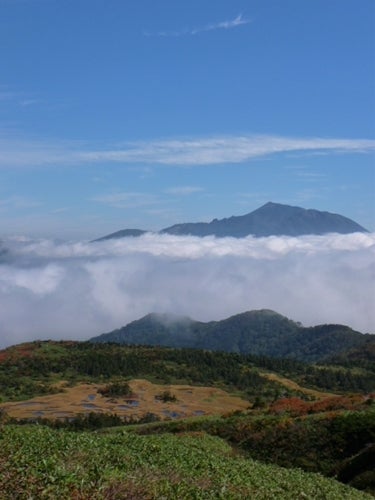 ランキング集 世界遺産/海外旅行/クラシック音楽/海外ドラマ/資格/美術/登山
