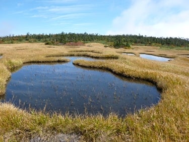 ランキング集 世界遺産/海外旅行/クラシック音楽/海外ドラマ/資格/美術/登山